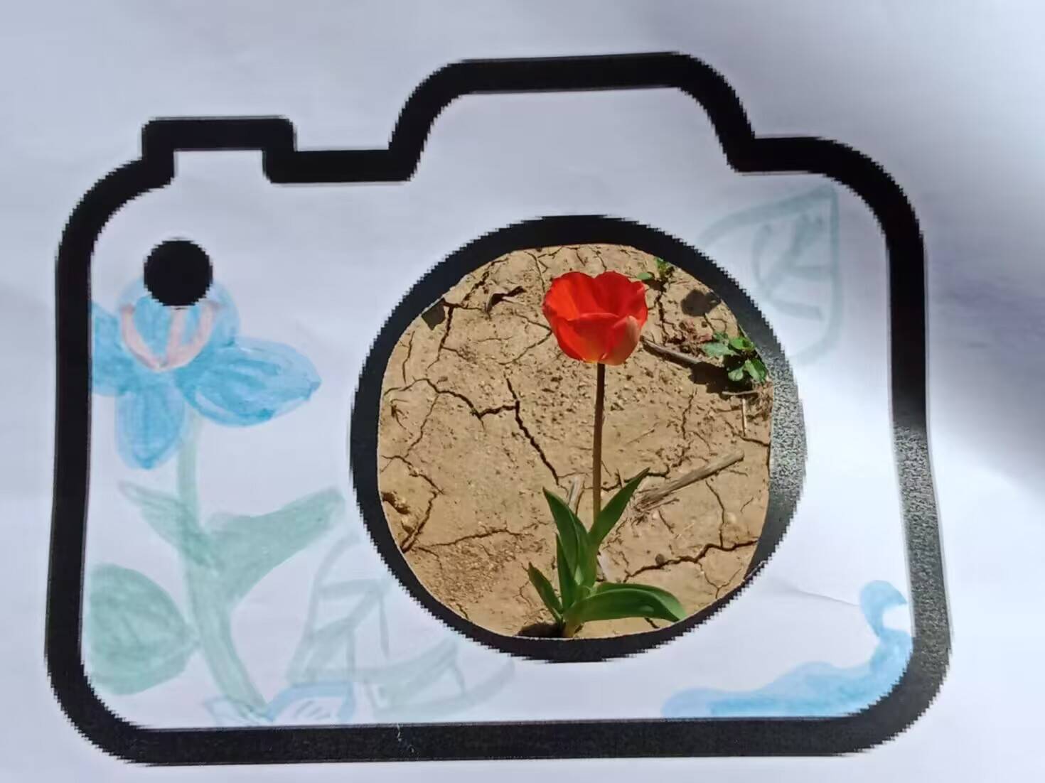 大学生心理社 3.jpg