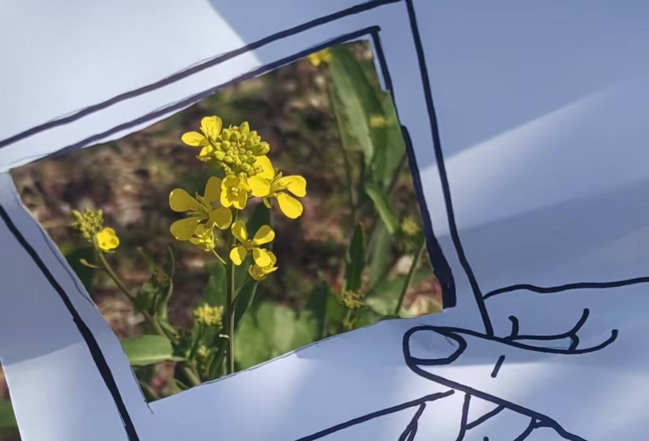 大学生心理社 2.jpg